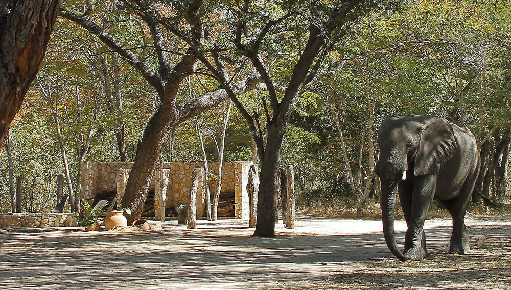 Gwango Heritage Resort Dete Exteriör bild