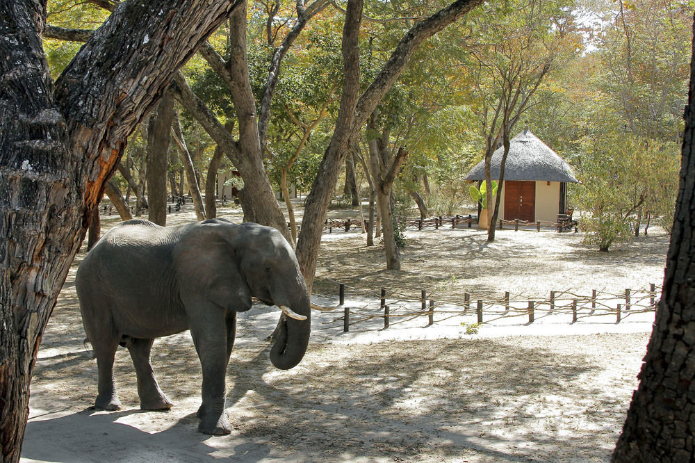 Gwango Heritage Resort Dete Exteriör bild